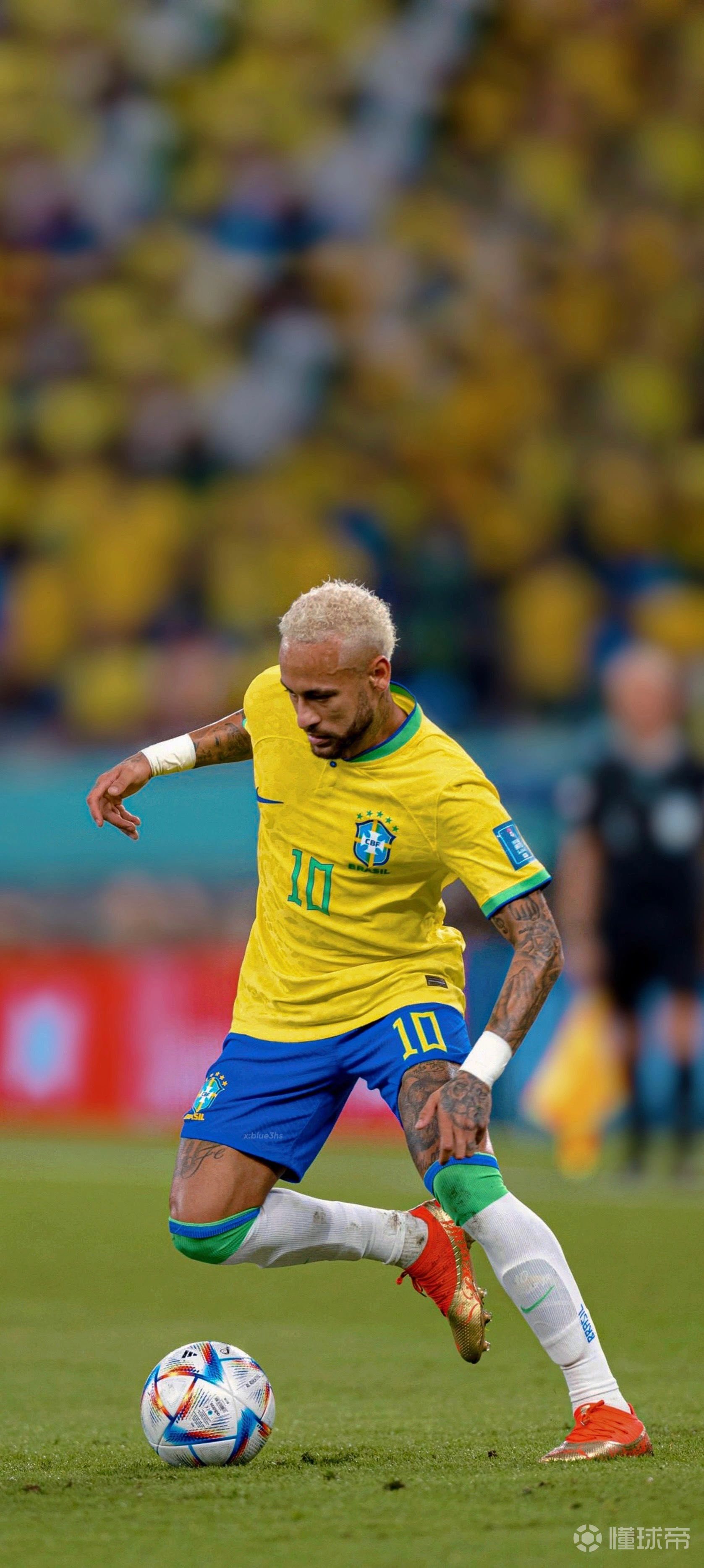 后者是用数 后者是用数